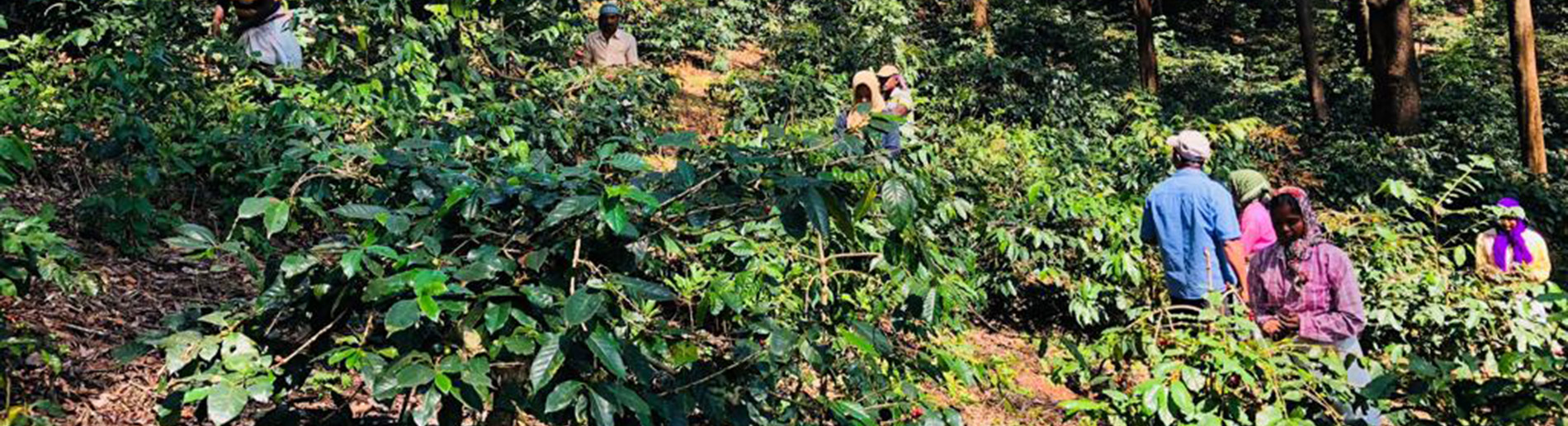 Bootstrap Touch Slider