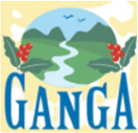 Gungegiri Estate | Sangameshwar Coffee Estates