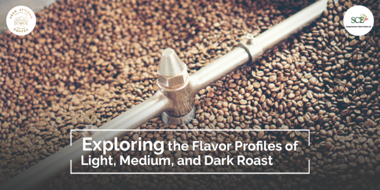 Roasted Coffee Spectrum: Light, Medium, And Dark Roast