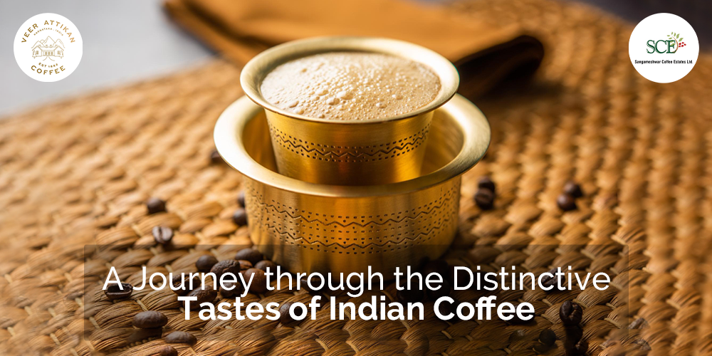 Tastes of Indian Coffee | Sangameshwar