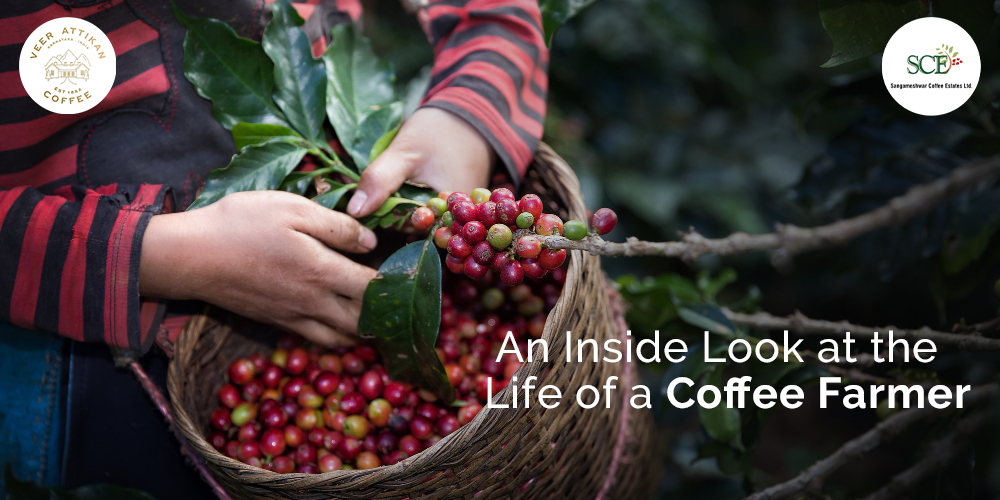 Coffee Farmers in India | Sangameshwar Coffee Estates | Indian Coffee Farmers